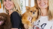 Animaux &agrave; adopter - Chama...