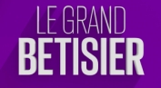 Le grand b&ecirc;tisier