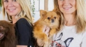 Animaux &agrave; adopter