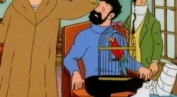 Les aventures de Tintin -...